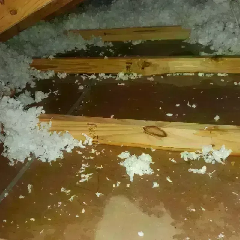 Attic Water Damage in Hooks, TX