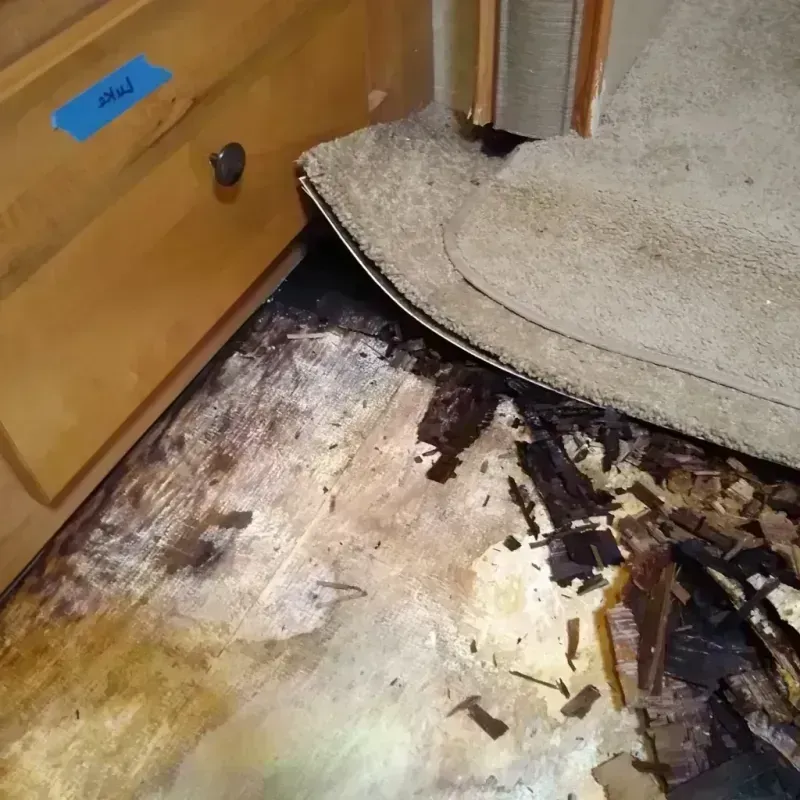 Wood Floor Water Damage in Hooks, TX